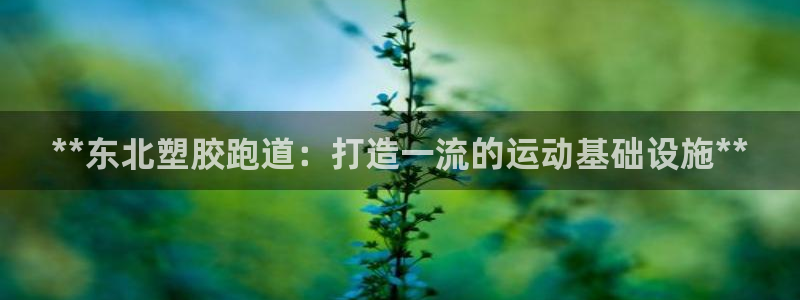 红足1世足球比分：**东北塑胶跑道：打造一流的运动基础设施**