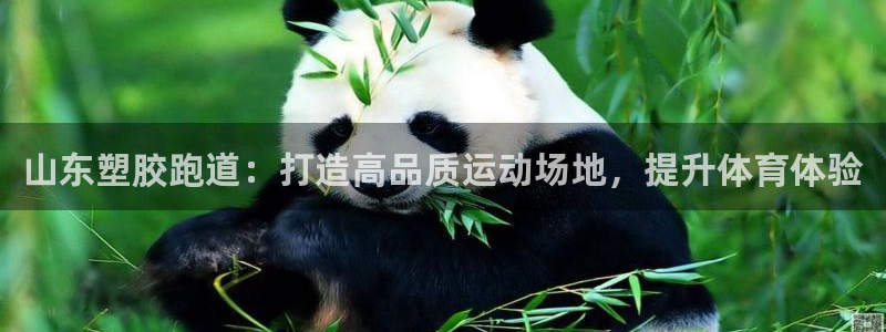 红足1一世 2站：山东塑胶跑道：打造高品质运动场地，提升体育体验