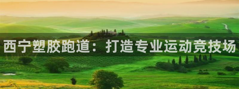 红足1世足球网址大全：西宁塑胶跑道：打造专业运动竞技场