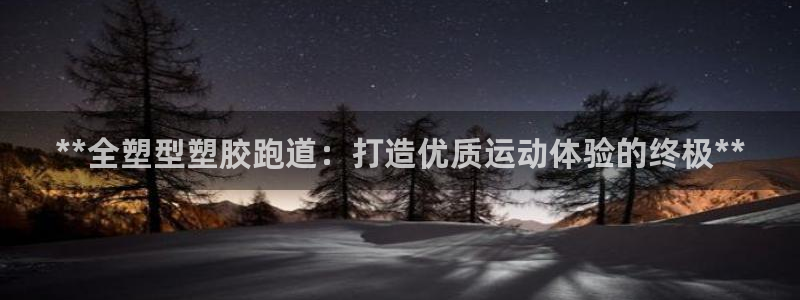 百度红足一1世：**全塑型塑胶跑道：打造优质运动体验的终极**