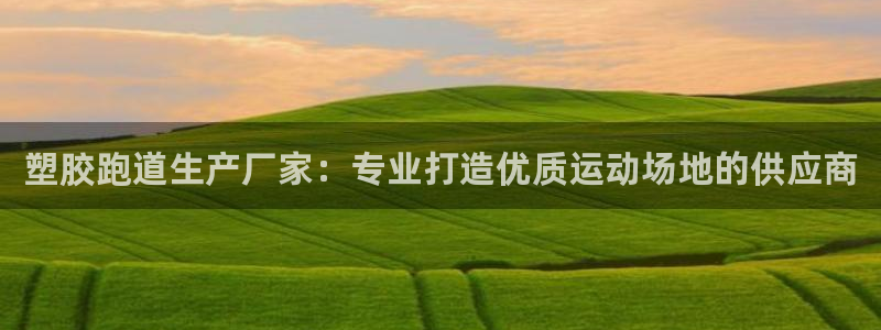 红足一1世比分网：塑胶跑道生产厂家：专业打造优质运动场地的供应商