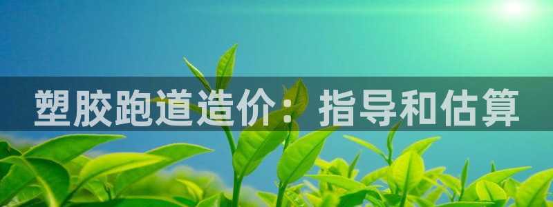 红足网足球直播：塑胶跑道造价：指导和估算