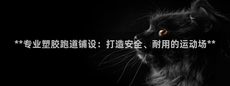 百度红足一1世：**专业塑胶跑道铺设：打造安全、耐用的运动场**
