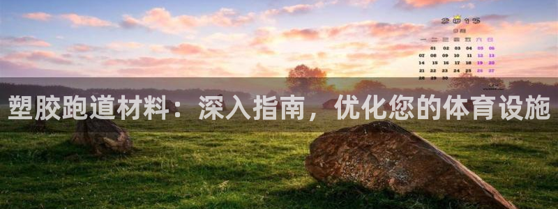 红足1一世红：塑胶跑道材料：深入指南，优化您的体育设施