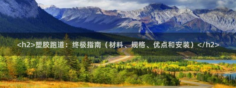 红足1一世红：<h2>塑胶跑道：终极指南（材料、规格、优点和安装）</h2>