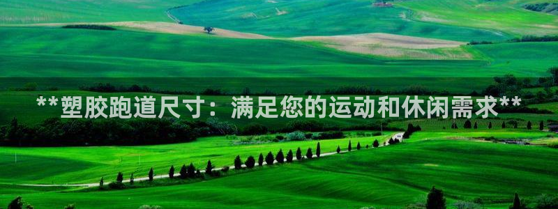 666814红·足一世比分：**塑胶跑道尺寸：满足您的运动和休闲需求**