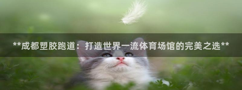 红足一生世：**成都塑胶跑道：打造世界一流体育场馆的完美之选**