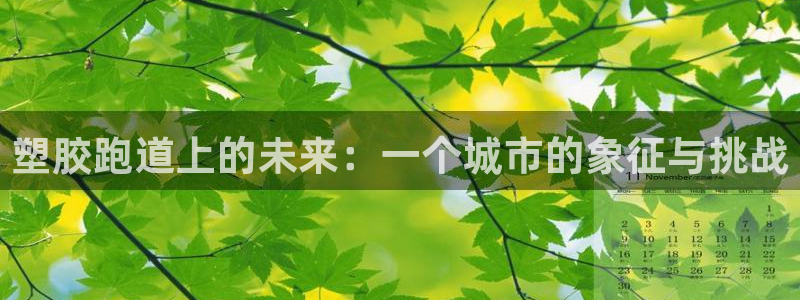 红足一1世77814：塑胶跑道上的未来：一个城市的象征与挑战
