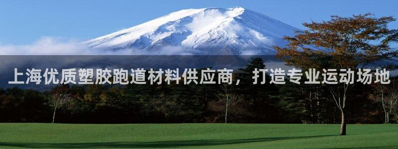 红足i世足球手机网：上海优质塑胶跑道材料供应商，打造专业运动场地