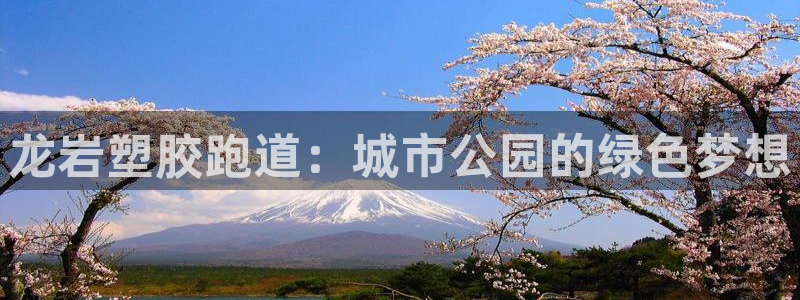 红足1世手机版下载:龙岩塑胶跑道:城市公园的绿色梦想