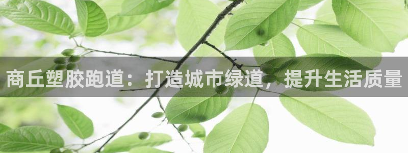 66814红足一66814世:商丘塑胶跑道:打造城市绿道,提升生活质量