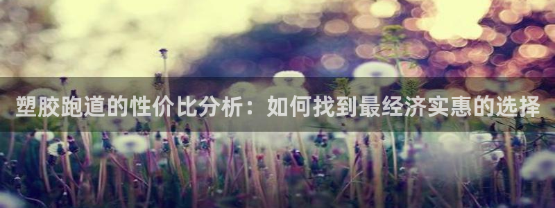 红足一一世：塑胶跑道的性价比分析：如何找到最经济实惠的选择