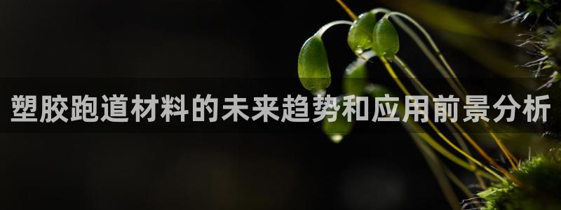 红足网足球直播：塑胶跑道材料的未来趋势和应用前景分析