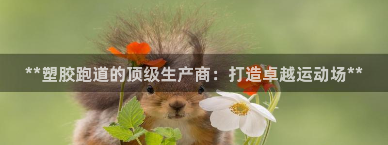 红足一1世官网比分：**塑胶跑道的顶级生产商：打造卓越运动场**