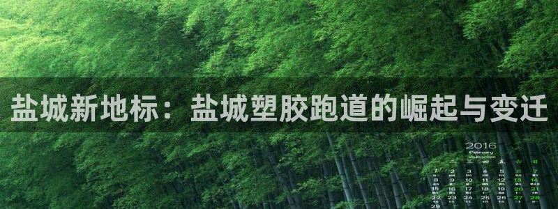 百度红足一1视频在线观看：盐城新地标：盐城塑胶跑道的崛起与变迁