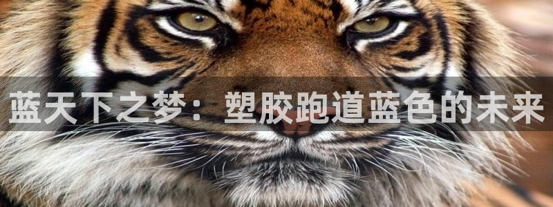 红足1世足球网址：蓝天下之梦：塑胶跑道蓝色的未来