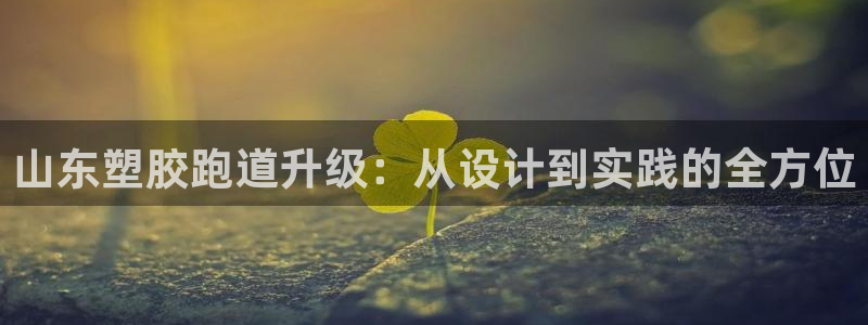 红足1世1站2站管理网：山东塑胶跑道升级：从设计到实践的全方位