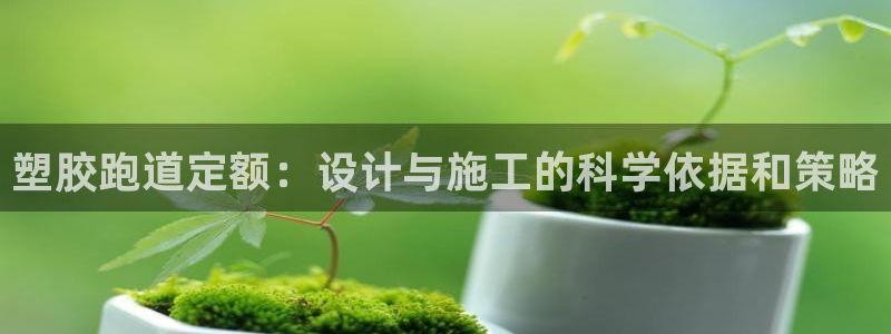 66814红足：塑胶跑道定额：设计与施工的科学依据和策略