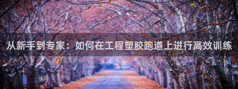 红足一1世66814：从新手到专家：如何在工程塑胶跑道上进行高效训练