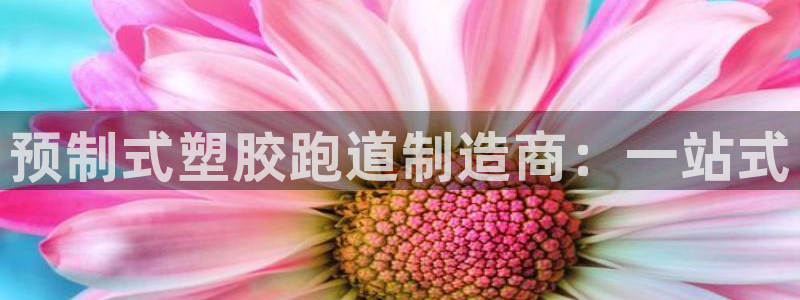 777814红·足一世比分：预制式塑胶跑道制造商：一站式