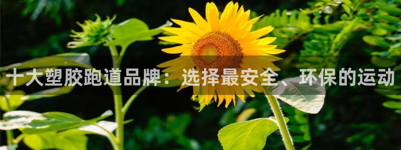 红足1世足球网址大全：十大塑胶跑道品牌：选择最安全、环保的运动
