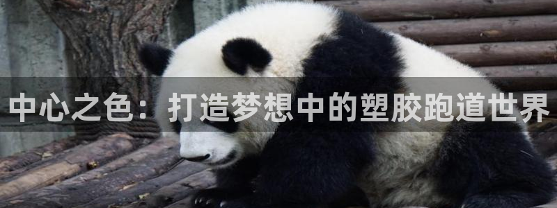 红足一1世666814最新结果：中心之色：打造梦想中的塑胶跑道世界