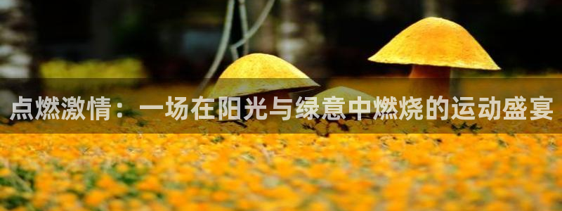 红足一生世：点燃激情：一场在阳光与绿意中燃烧的运动盛宴