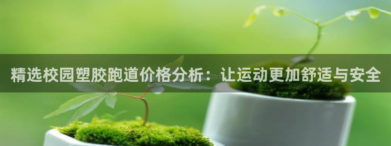 红足体育网：精选校园塑胶跑道价格分析：让运动更加舒适与安全