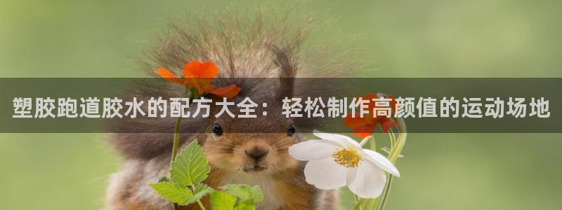 77814红足1世：塑胶跑道胶水的配方大全：轻松制作高颜值的运动场地