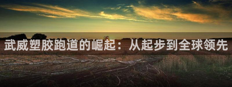 红足1世1站：武威塑胶跑道的崛起：从起步到全球领先