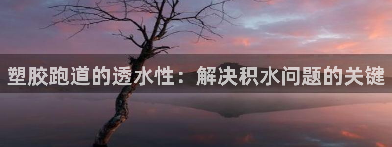 66814红足：塑胶跑道的透水性：解决积水问题的关键