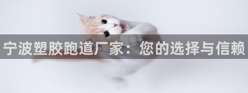 红足一1世手机版赛果:宁波塑胶跑道厂家:您的选择与信赖