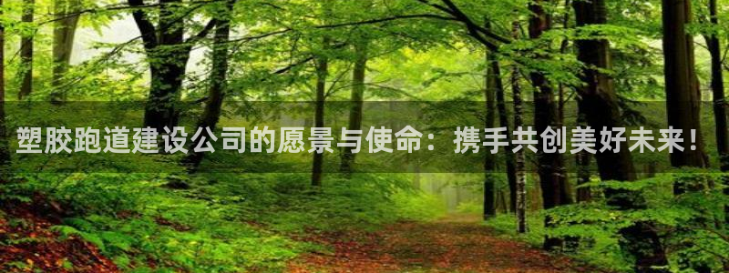 红足1世足球比分预测:塑胶跑道建设公司的愿景与使命:携手共创美好未来!