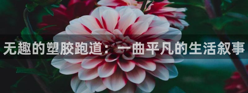 红足一1世皇冠地址：无趣的塑胶跑道：一曲平凡的生活叙事