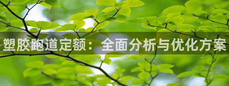 红足一1世皇冠登录:塑胶跑道定额:全面分析与优化方案