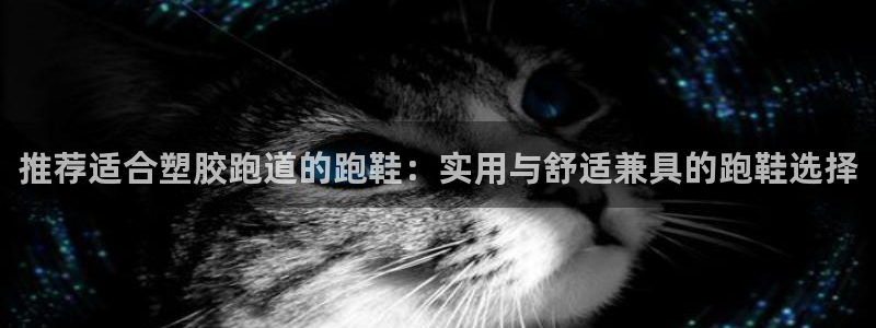 红足1世1站：推荐适合塑胶跑道的跑鞋：实用与舒适兼具的跑鞋选择
