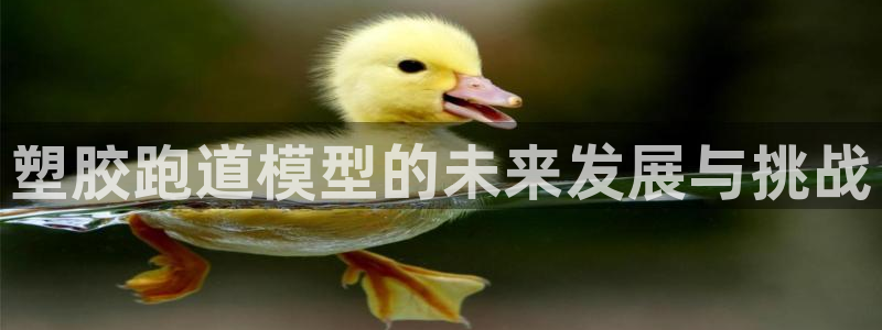 红足一1世:塑胶跑道模型的未来发展与挑战