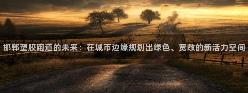 红足一生世:邯郸塑胶跑道的未来:在城市边缘规划出绿色、宽敞的新活力空间