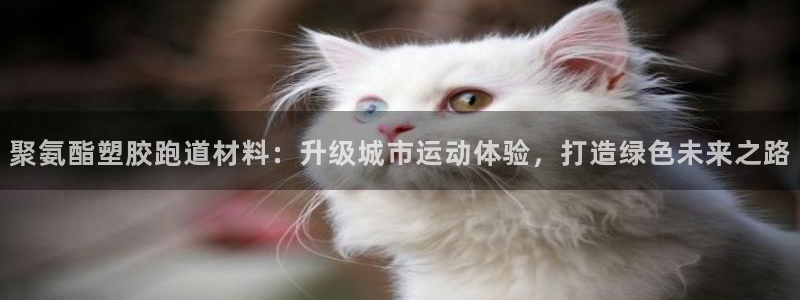 红足1世开奖预测：聚氨酯塑胶跑道材料：升级城市运动体验，打造绿色未来之路