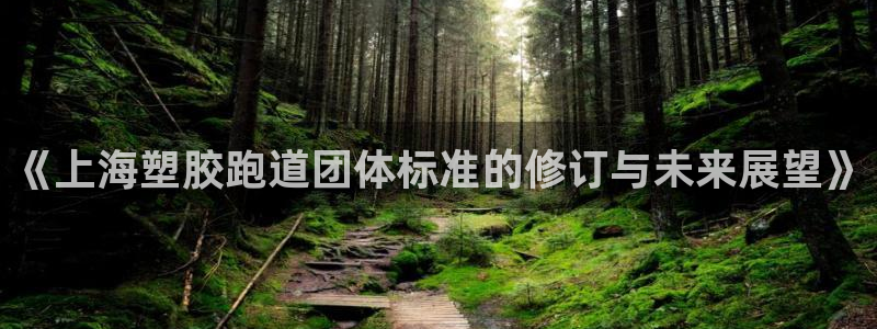 红足一丰：《上海塑胶跑道团体标准的修订与未来展望》