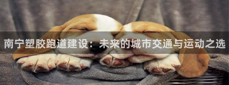 红足1世足球比分预测：南宁塑胶跑道建设：未来的城市交通与运动之选