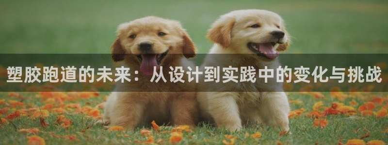 百度红足一1是为什么：塑胶跑道的未来：从设计到实践中的变化与挑战