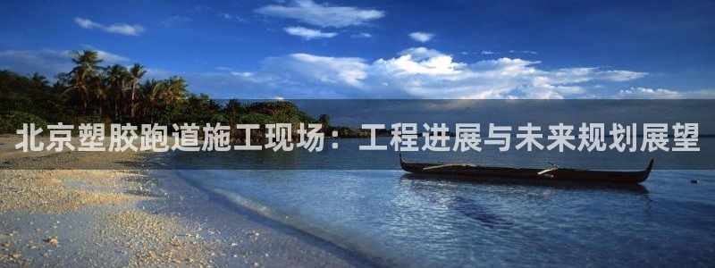 55814红足1世：北京塑胶跑道施工现场：工程进展与未来规划展望