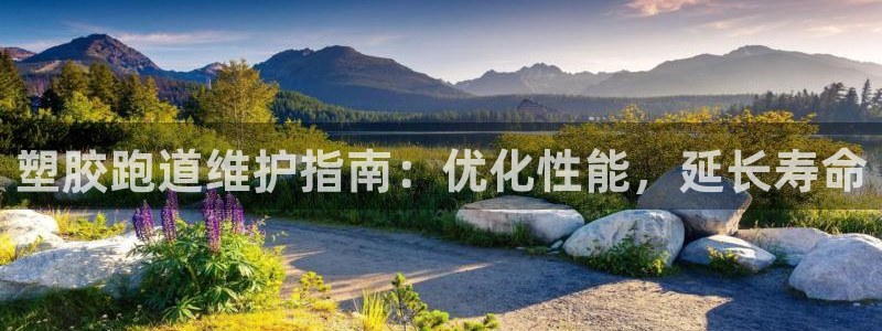 红姐现场直播开奖记录:塑胶跑道维护指南:优化性能,延长寿命