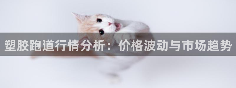 777814红·足一世比分:塑胶跑道行情分析:价格波动与市场趋势