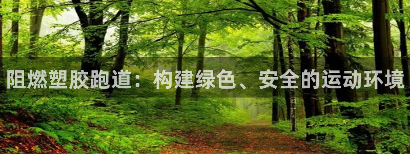 红足1世足球：阻燃塑胶跑道：构建绿色、安全的运动环境