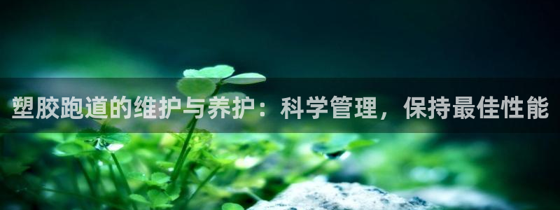 百度红足一1世：塑胶跑道的维护与养护：科学管理，保持最佳性能
