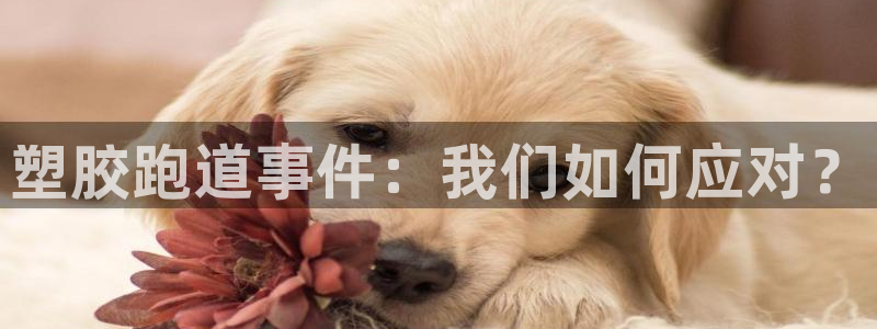 红足一1世手机皇冠:塑胶跑道事件:我们如何应对?