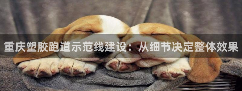 红足一1世比分网：重庆塑胶跑道示范线建设：从细节决定整体效果