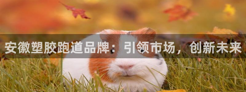 红足1世手机板:安徽塑胶跑道品牌:引领市场,创新未来